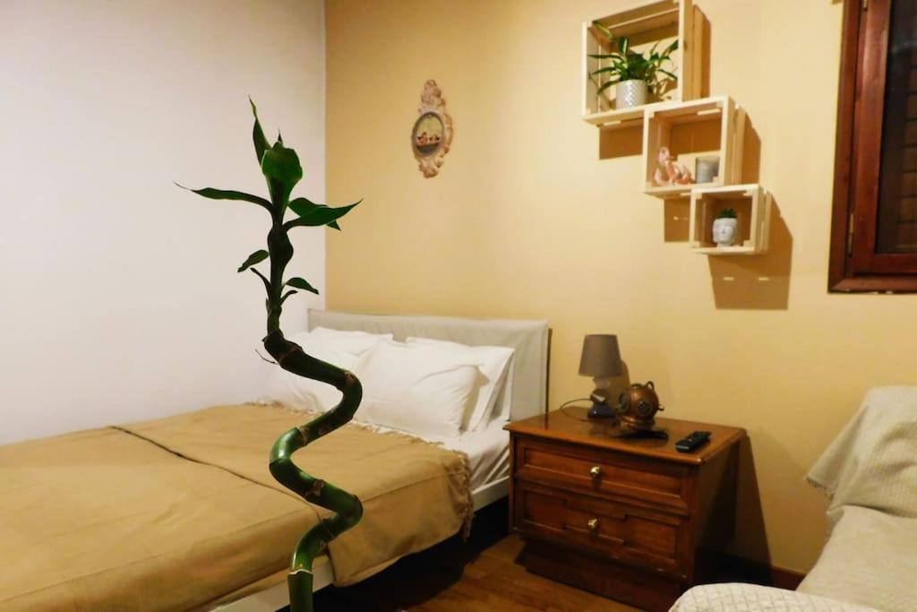 Marco Polo'S Mooring Cozy Navy House Apartment Anavyssos Luaran gambar
